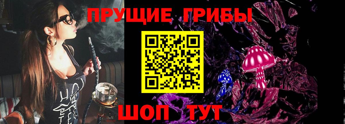 Галлюциногенные грибы Cubensis Коломна