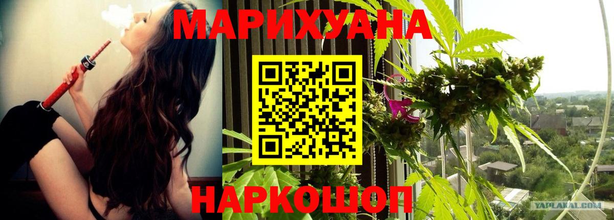 Марихуана сатива Коломна